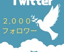 Twitterフォロワー２,０００人増やします 最大２万人まで！フォロワー増やします イメージ1