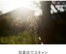 35mmフィルムをデータ化します フィルム専用スキャナーでフィルムをスキャンします。 イメージ6