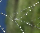 辛いお気持ちを軽く、楽にします 心に寄り添い、あなたが一歩踏み出せるカウンセリング イメージ10