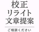 いただいた文章を自然に、読みやすく整えます ウェブ制作会社に10年勤める現役ディレクターです イメージ1
