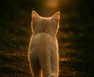 写真で作る優しいＰＲ動画を作成します 写真だけで、心に届くやさしいPR動画を制作します。 イメージ4