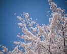 初心者向け_カメラを始めたい方のご相談に乗ります 「何となくカメラを始めたい！」というレベル感でもご相談OK！ イメージ4