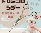 メルカリの【買いたくなる画像】をお作ります canvaを使って【オシャレ♡】で【目立つ♡】画像作成 イメージ10