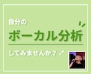 あなたの歌を聴いて、ボーカルの分析をします カラオケ・ライブで惹きつける、聴き惚れる歌を目指しましょう！ イメージ1