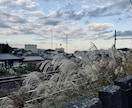 どんな内容でもお聞きしアドバイスができます どんなことでもぜひ、気軽に話してください！ イメージ2