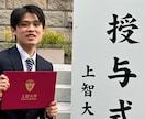 スペイン語翻訳｜SNSに対応します 上智卒 x DELE B2保持 | 自然で伝わる翻訳 イメージ2