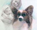 ワンちゃん、ネコちゃんの肖像画をお描きします 愛するワンちゃん、ネコちゃんの肖像画をプロがパステルで イメージ6