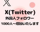 Xの外国人フォロワー1000人〜増加いたします 【即対応】あなたのアカウント信頼度高めませんか？ イメージ9