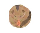 水彩タッチで動物のイラストを描きます ゆるっとシンプルに、しっかりと。動物の元研究員が制作します イメージ3