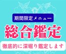 期間限定・総合運勢鑑定　人生の悩みなんでも占います 仕事運・恋愛・人間関係｜四柱推命で深く寄り添う総合鑑定 イメージ2