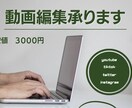 YouTubeの動画編集、サムネイル作成を承ります 細々としたオプションは一切ございません！ イメージ1