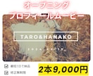 最短3日！動画2本9,000円で作成します オープニングムービーは2,000円！セットでお得です♪ イメージ1