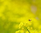 人知れず頑張っているあなたのことを褒めます 誰も認めてくれない！そんな不満をぶつけて下さい。 イメージ6