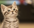 ちょっと息抜きしませんか☆あなたの思いうけとめます ちょっとお話したい時も長くお話したい時も、その時間私に下さい イメージ8