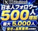 X(Twitter)で500人の日本人増やします 日本人フォロワーを+500人！【最大5,000件まで対応】 イメージ1