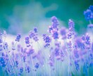 癒しのワンオラクル✨優しい言葉を光と共に届けます 傷ついた心に今必要なメッセージを◆チャット鑑定：24時間以内 イメージ6
