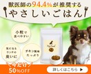 WEB画像作成いたします バナーで集客アップしたい方、WEB画像お作りします！ イメージ4