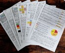 しばらく受け付け休止します 算命学で鑑定書を作成(動画解説つき) イメージ2