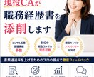 コンサル転職に強い現役CAが職務経歴書を添削します 書類通過率をUP｜BIG4・総合コンサル・転職支援経験あり イメージ1