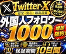 X・旧Twitterの外国人フォロワーを増加します 【ココナラNo.1長期保証付き！】Xフォロワー1000増加！ イメージ4