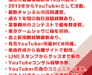 企業向けYouTubeアドバイザ（1ヵ月）承ります 直接YouTubeクリエイターサポートチームに随時質問も可能 イメージ2