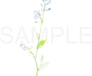 動物や植物のイラストをご希望のタッチで描きます 挿絵やポイントに使用したい方におすすめ イメージ7