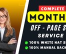 バックリンク付きの毎月のSEOサービスを行うます バックリンク付きの毎月のSEOサービスを行う イメージ1