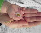 リピーター様向け/指ヨガハンドヒーリングで癒します ♡お悩みに合わせたセルフハンドヒーリングをレッスンします！ イメージ5