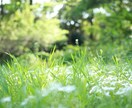 電話相談：あなたのお悩みを伺います 心に抱えたお悩みを、心理カウンセラーに話してみませんか？ イメージ5