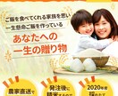 起業家応援⭐️集客UPヘッダー・バナー制作します HP・ブログ・SNS⭐︎アナタの思いをWebデザインで形に！ イメージ4