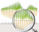 図解・科学イラスト制作します リアルなグラフィックからフラットなアイコン制作まで対応可能 イメージ1