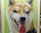 オイルパステル　原画郵送　ペット似顔絵を描きます 手書き/ハイクオリティ/動物全般/額付き無料/送料無料 イメージ6