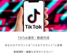 バズるTikTok動画作成します 時間も労力もかかるTikTokの動画編集、お任せください！ イメージ1