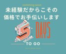 未経験だからこそ！特別価格でチラシ制作します プロのサポート付き！初挑戦だからこそ、破格で提供！ イメージ5