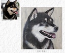 愛犬を手描きでオーダーメイドの肖像画にします 大切な思い出を、暮らしの中に飾る一枚に。 イメージ3