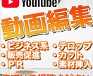 YouTubeや販売促進などの動画編集いたします YouTube収益化経験あり！丁寧にお仕事させていただきます イメージ1