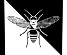 虫や生き物のイラストを制作します 白黒虫アート！額縁から生まれたデザインです イメージ1