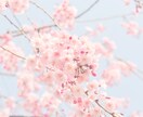 神々の導きで未来6ヶ月の流れを読み解きます 神さまのご縁メッセージで、迷いの先にある答えを見える化します イメージ10