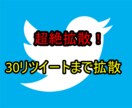 超絶拡散！＋30リツイートになるまで拡散し続けます あなたのツイートを超絶拡散いたします！限定値下げ中です！ イメージ1