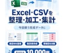 Excel・CSVの整理や集計を代行します 結合・整形・集計から確認一覧まで柔軟に対応 イメージ1