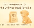 犬の食事やフードの不安を一緒に整理します 今のごはんが合っているか 迷っている方へ イメージ5