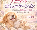 お写真からペットさんの気持ちを丁寧にお伝えします アニマルコミュニケーションで大切な家族の想いを読み取ります イメージ1