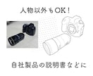 写真をシンプル線画イラストにトレースします 商用OK！人物以外もOK！ベクター納品可・デザインの時短に イメージ3