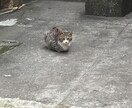 あなたの愚痴、お悩み聞きます 20代男性ですがよろしくお願いします！ イメージ1