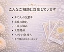 1000円モニター｜恋愛・仕事・ペット占います 恋愛・仕事・ペットの気持ちも丁寧に占います【特典あり】 イメージ3
