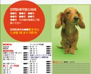 チラシに「分かりやすさ」の要素を強化します。 イメージ1