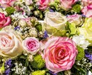 モニター募集☆オラクルカードでお悩み解消します 応募ありがとうございます！現在募集を休止しております イメージ1