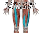バスケの怪我★専門家がチャット相談お聞きします 医療資格34年、バスケ42年、プロ20年の経験と実績で対応 イメージ6