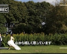 結婚式オープニングムービー制作します お気に入り登録でクーポン配布中【DVD納品無料•修正無料】 イメージ6