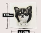 愛犬(チワワちゃん専門)の似顔絵描きます 記念日に我が子の絵を作ってみませんか？ イメージ4